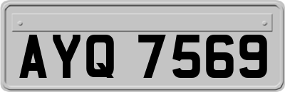 AYQ7569