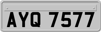 AYQ7577