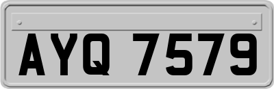 AYQ7579