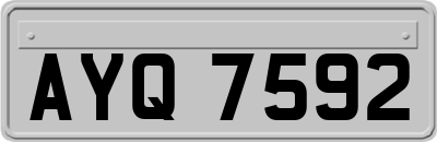 AYQ7592