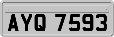 AYQ7593
