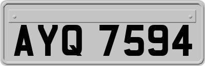 AYQ7594