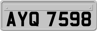 AYQ7598