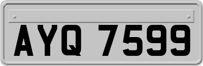 AYQ7599