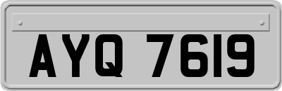 AYQ7619