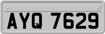 AYQ7629