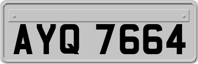 AYQ7664