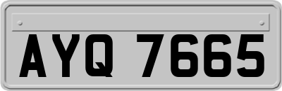 AYQ7665