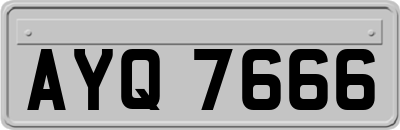 AYQ7666