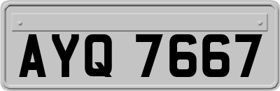 AYQ7667