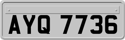 AYQ7736