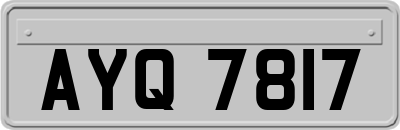 AYQ7817