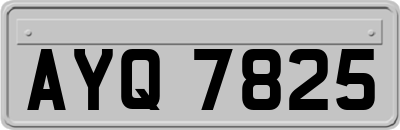 AYQ7825