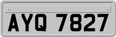 AYQ7827