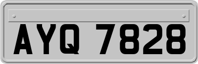 AYQ7828