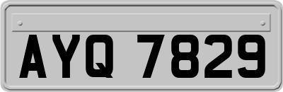 AYQ7829
