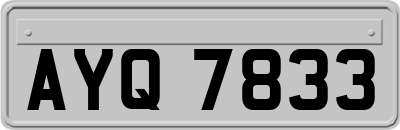 AYQ7833