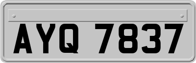 AYQ7837