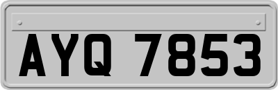 AYQ7853