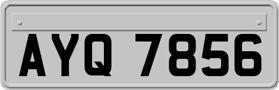 AYQ7856
