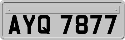 AYQ7877
