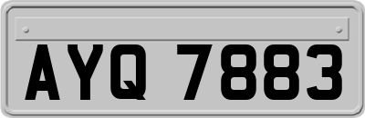 AYQ7883