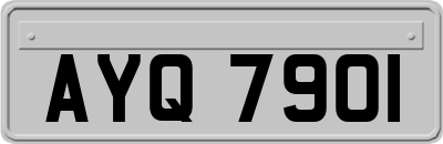 AYQ7901