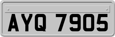 AYQ7905