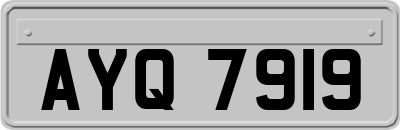 AYQ7919