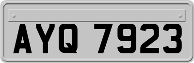 AYQ7923