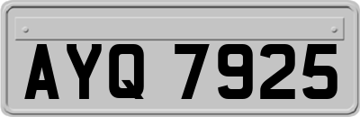 AYQ7925