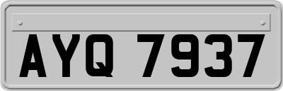 AYQ7937