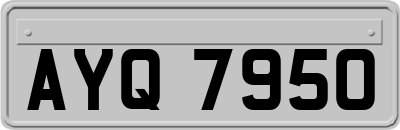 AYQ7950