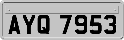 AYQ7953