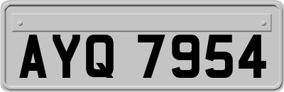 AYQ7954