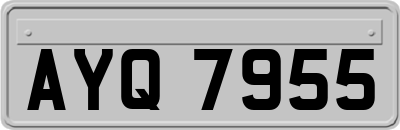 AYQ7955