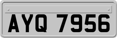 AYQ7956
