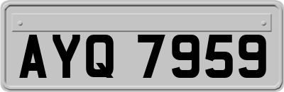 AYQ7959