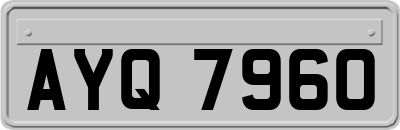 AYQ7960