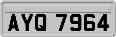 AYQ7964