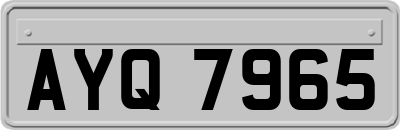 AYQ7965