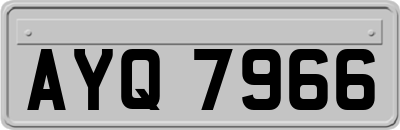 AYQ7966