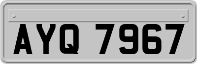 AYQ7967
