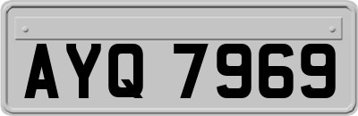 AYQ7969