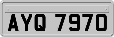 AYQ7970