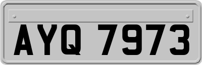 AYQ7973