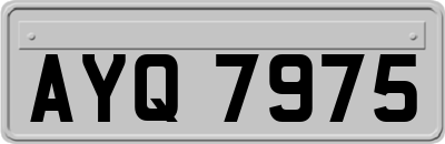 AYQ7975