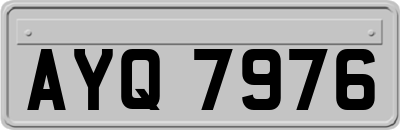 AYQ7976