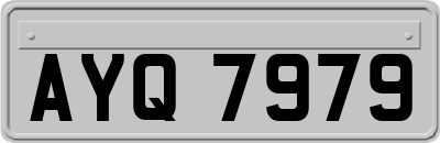 AYQ7979
