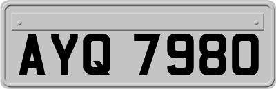 AYQ7980
